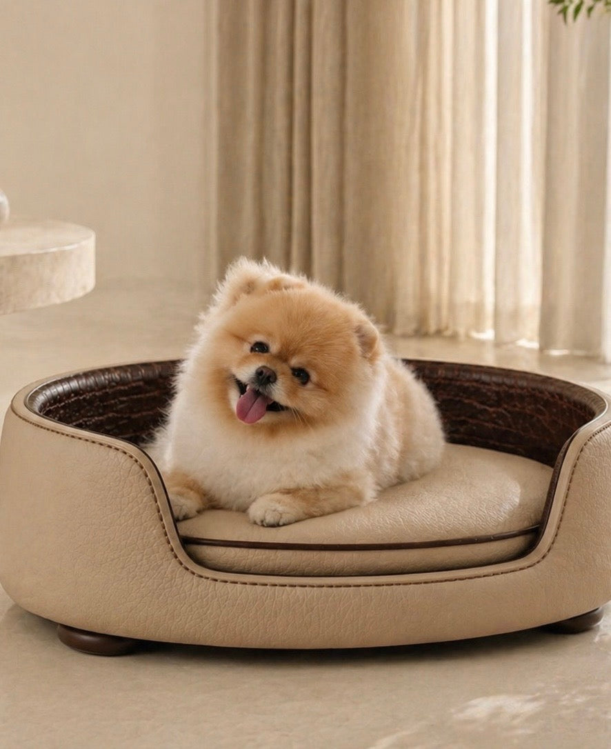 Designer dog beds — Marlow I and Club Nooshie by Saint Objets, made to order Dubai