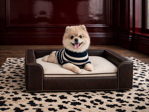 Club Nooshie Pet Bed — main — made to order in Dubai, refined materials — Saint Objets