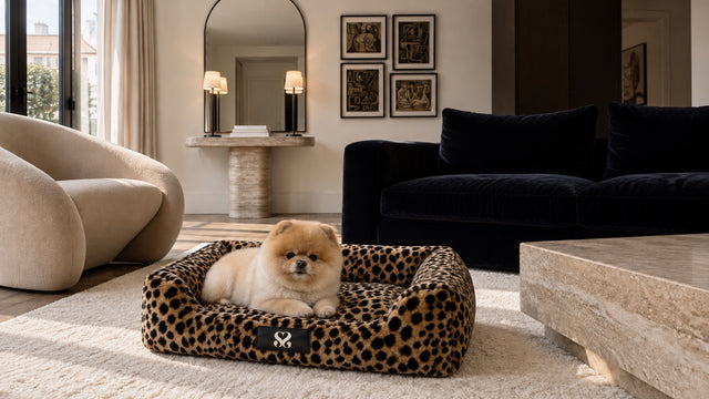 Nooshie in the Wild designer dog bed in Dune Leopard, living room